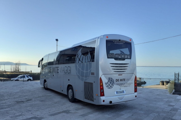 de-mite-autobus-new-3DF231278-6859-8D6F-A9E4-4586DB1EA62E.jpeg