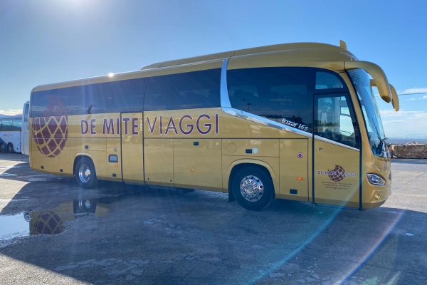 demite-noleggio-bus-2E1090AE4-6F12-9519-1B45-13CF95D2FFB0.jpeg
